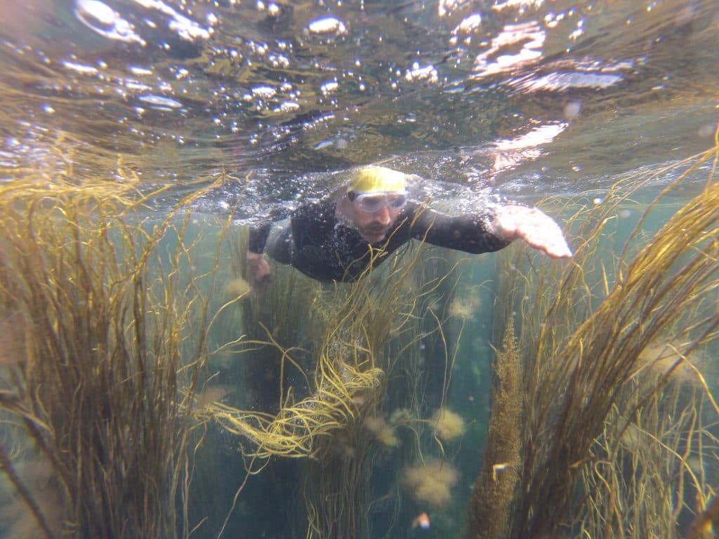 Swimmer in wetsuit and goggles seen from underwater in the Scilly Isles