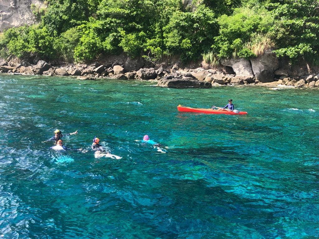 Swimming with turtles