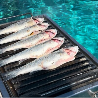 5 whole fish on bbq beside the ocean