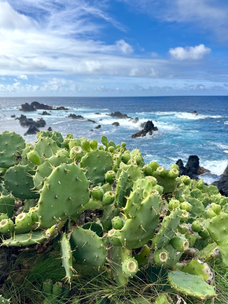 Azores