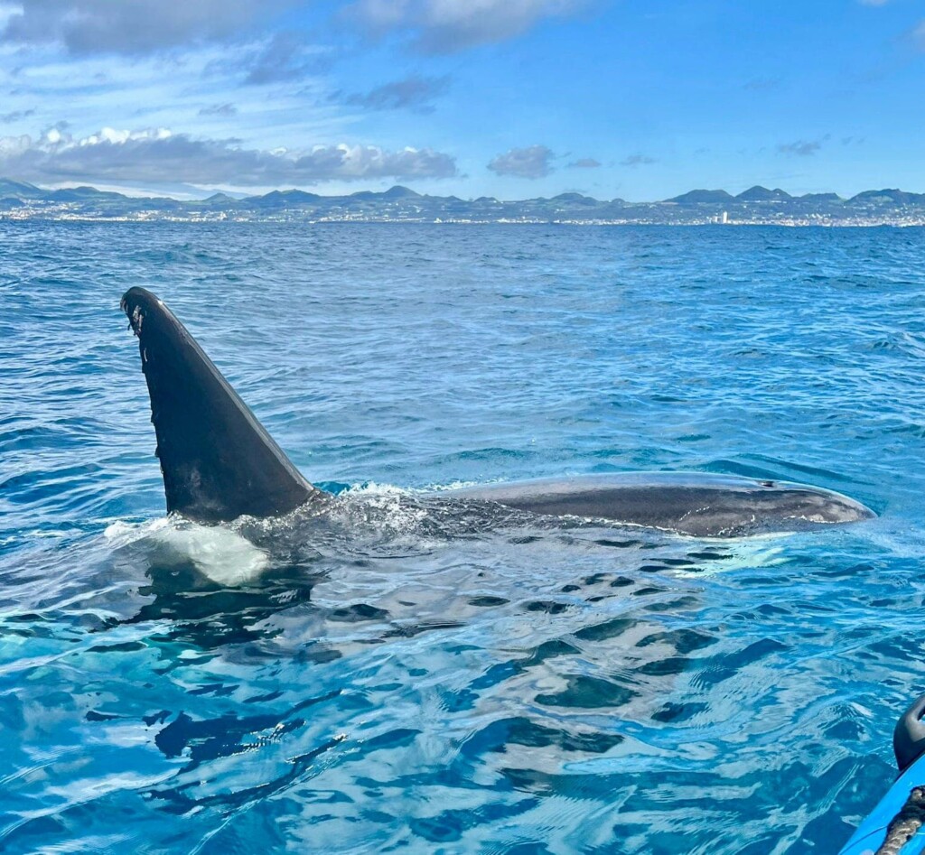 Azores
