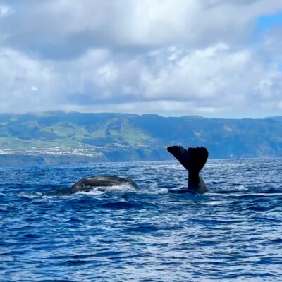 Azores