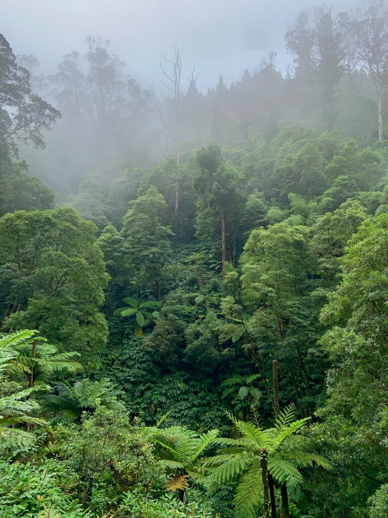 Azores