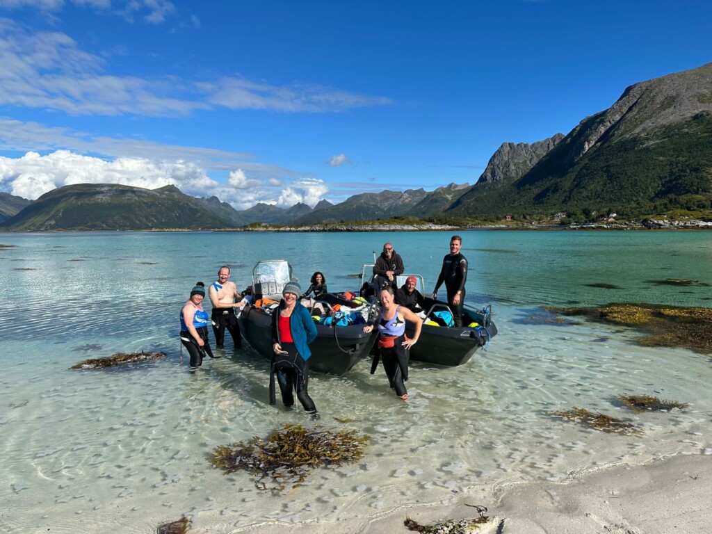 Swimmers stand in the sea in Lofoten