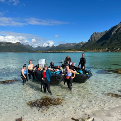 Swimmers stand in the sea in Lofoten