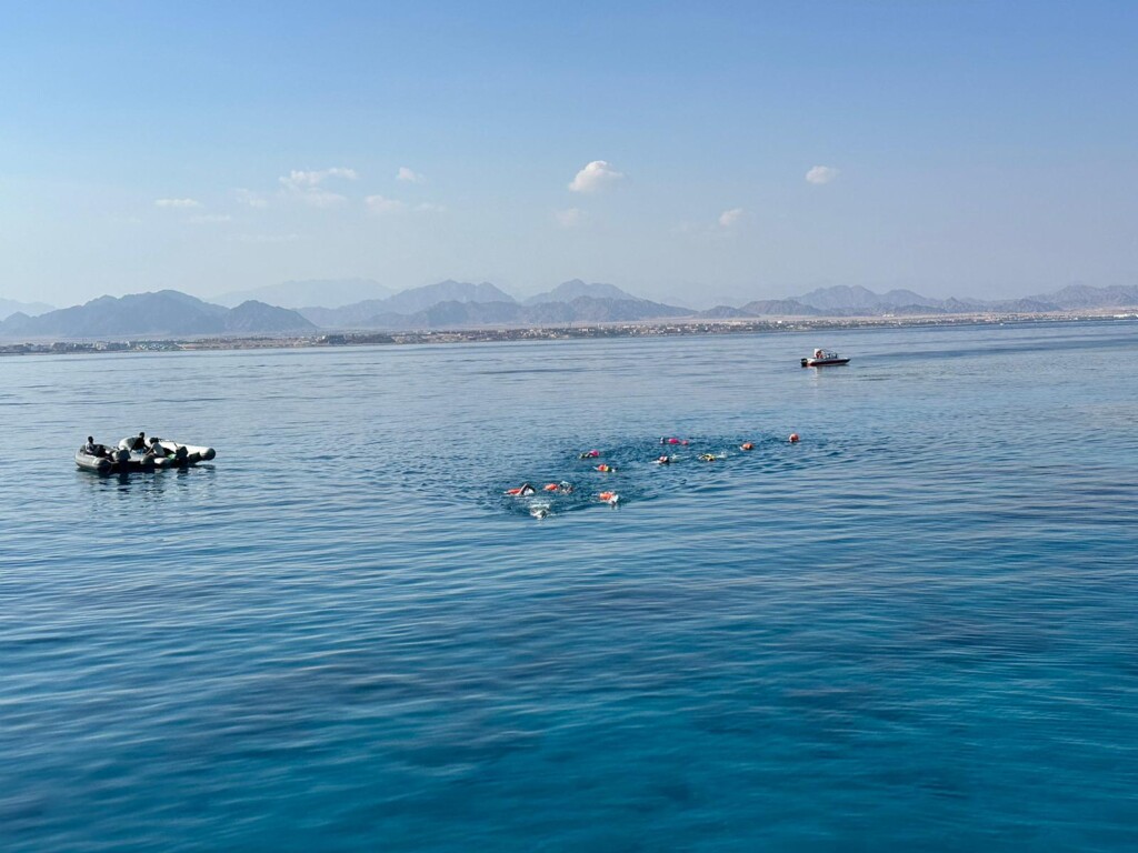 Egypt SwimQuesters